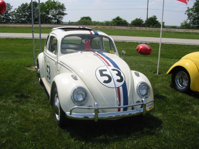 Copy of IMG_8594.JPG